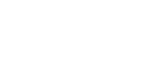 ABNS Logo